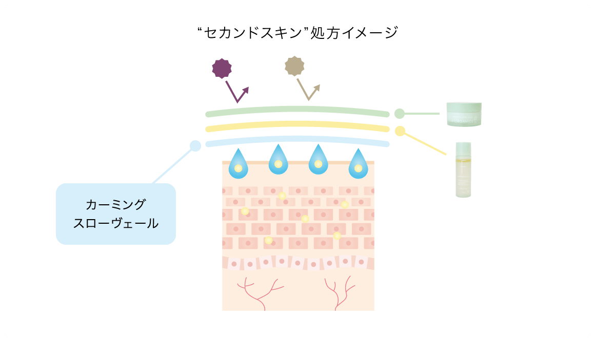 “セカンドスキン”処方イメージ