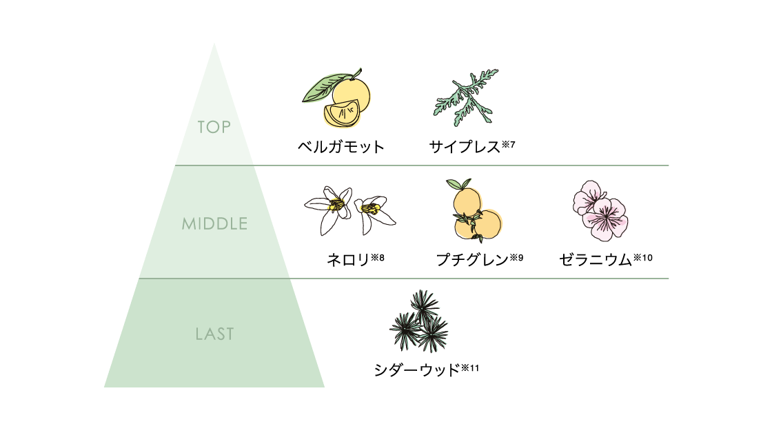 “香りのグラフ、上から下の内容はTOP：ベルガモット、サイプレス※7　MIDDLE：ネロリ※8、プチグレン※9、ゼラニウム※10 LAST：シダーウッド※11
