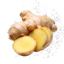 炭酸ショウガエキス