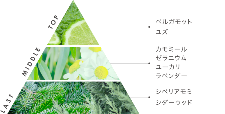 アロマバスソルトA 90g [カモミール＆モミノキの香り]
