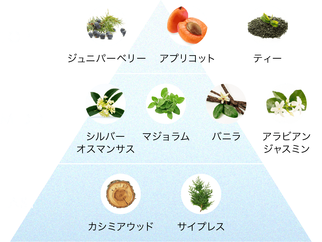 かおりのトライアングル