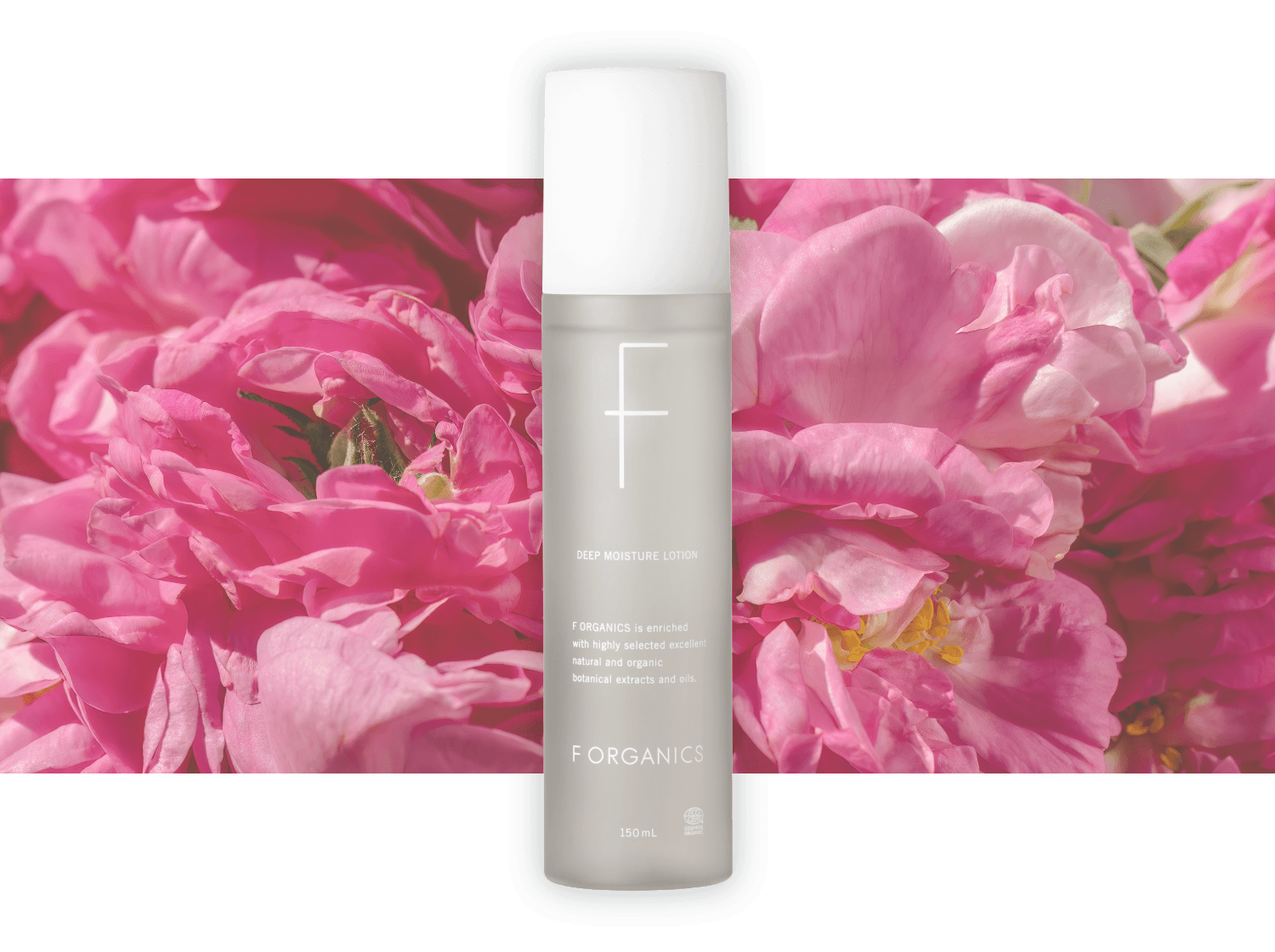 ホリデーコフレ